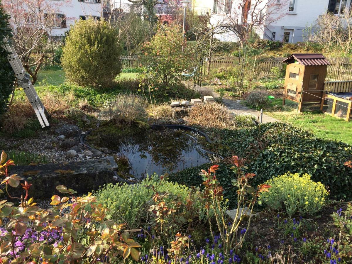 Ruhiges Gaestezimmer Winterthur Exterior photo
